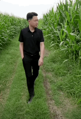 网红老头的荤话，售价16800(图10)