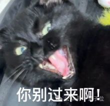 大模型商业化迎来TaaS时刻！科大讯飞让Token交付结果(图6)