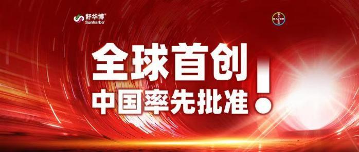 全球首创，中国率先批准！拜耳FXIa抑制剂舒华博（阿舒克森片）获批，开启卒中管理新纪元(图1)