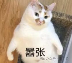榜一，拿来吧你！智元这波双模型杀穿多榜榜单(图16)
